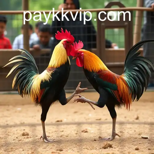 Exploring the World of Sabong Games with kkvip PH Login